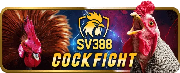 Slot game và nổ hũ hcm666 casino